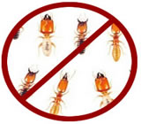 descupinizacao-no-Itaquaquecetuba